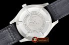 IWC Mark XVII Le Petit Prince SS/LE Blue/Num Asia 2824