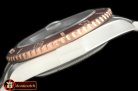 ROLSUB0167 - Submariner SS/RG Brown Asian 2836