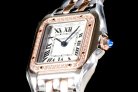 Cartier Panthere Secrete Swiss Quartz 22mm CAR884822C