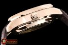 PP0280 - Travel Time Aquanaut 5164A RG/RU Brown Asia 23J Mod