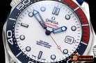 Omega Seamaster Commander 007 SS/NY White URF MY8205 Mod