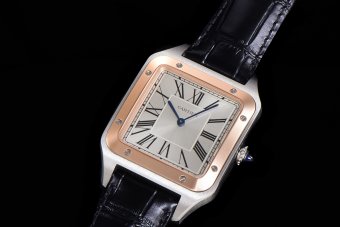 CARTIER SANTOS W2SA0011 F1-690 31.4MM
