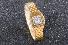 Cartier Panthere Secrete Swiss Quartz 22mm CAR884822E