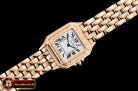 Cartier Panthere Secrete De Ladies RG/RG GF Swiss Quartz