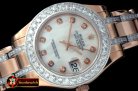 ROLMP019B - Diam Bez RG MOP Wht/Diam Asian 2813