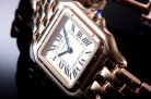 Cartier Panthere Secrete Swiss Quartz 27mm CAR884827D