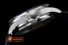 IWC0304B - Portugese 5007 SS/LE YLF White A-52010