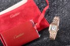 Cartier Panthere Secrete Swiss Quartz 22mm CAR884822F