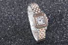Cartier Panthere Secrete Swiss Quartz 22mm CAR884822B