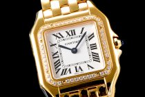 Cartier Panthere Secrete Swiss Quartz 27mm CAR884827G