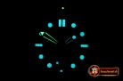 Omega Seamaster 300m 2018 YG/SS/RU Black OMF Asia 8800