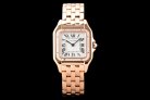 Cartier Panthere Secrete Swiss Quartz 27mm CAR884827F