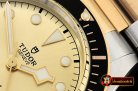 TUD057 - Heritage 2017 Black Bay YG/SS Gold ZF Asia 2824