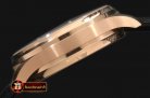 IWC0253A - Portugese 5007 RG/LE