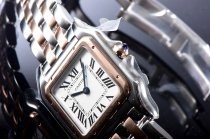 Cartier Panthere Secrete Swiss Quartz 22mm CAR884822B