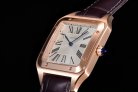 CARTIER SANTOS WGSA002 F1-690 31.4MM