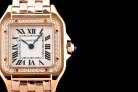 Cartier Panthere Secrete Swiss Quartz 22mm CAR884822F