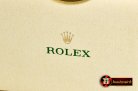 Rolex Boxset 2019 1:1 Version with Booklets & Cards
