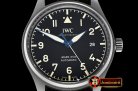 IWC Mark XVIII IWC327006 TI/LE Black M+F Asia 2892