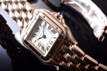 Cartier Panthere Secrete Swiss Quartz 22mm CAR884822D