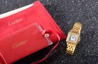 Cartier Panthere Secrete Swiss Quartz 22mm CAR884822G