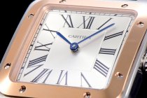 Cartier Santos WSSA0032 46.6mm QZ F12021100923