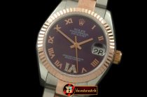 RMDJ204D - SS/RG Oyster Purple Roman Asia 2836