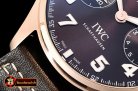 IWC Big Pilot Annual Cal. St Exp RG/LE Brown YLF V2 A52850