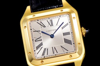 Cartier Santos WGSA0034 43.5mm QZ F1202110914