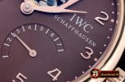 IWC Portugese Mystere Tourbillon RG/LE Brown Asia 21J