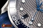 Omega Seamaster 300m 2018 SS/RU Grey OMF Asia 8800