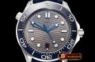 Omega Seamaster 300m 2018 SS/RU Grey OMF Asia 8800