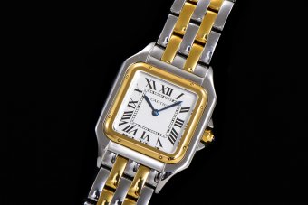 CARTIER PANTH