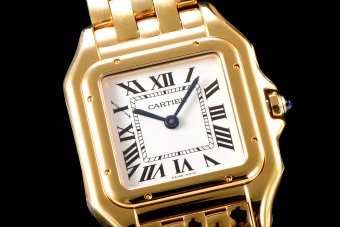 Cartier Panthere Secrete Swiss Quartz 27mm CAR884827E
