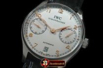 IWC0254 - Portugese 5007 SS/LE