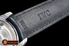 IWC Portuguese Tourbillon IW5463 SS/LE W/B ZF Tourbillon