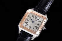 CARTIER SANTOS W2SA0011 F1-690 31.4MM