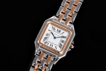 CARTIER PANTH