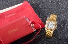 Cartier Panthere Secrete Swiss Quartz 27mm CAR884827G