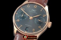 IWC0289C - Portugese 5007 RG/LE Grey A-52010