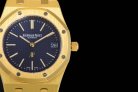 AP 15202 39MM 9015MY 202110094