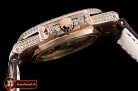 Patek Philippe Nautilus Mens 40mm Diams RG/LE White Sticks V2 MY9015