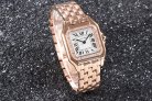 Cartier Panthere Secrete Swiss Quartz 27mm CAR884827F