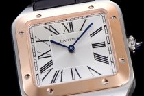 Cartier Santos WSSA0032 46.6mm QZ F12021100920