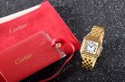 Cartier Panthere Secrete Swiss Quartz 27mm CAR884827E