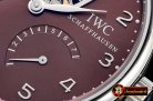 IWC Portugese Mystere Tourbillon SS/LE Brown Asia 21J