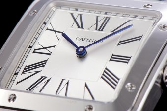 Cartier Santos WSSA0032 46.6mm QZ F12021100924