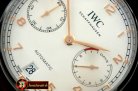IWC0281B - Portugese 5007 SS/LE
