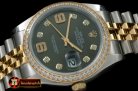 RDJ0253B - SS/YG Jubilee Green Diam 2836