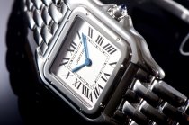 Cartier Panthere Secrete Swiss Quartz 27mm CARA8F27A